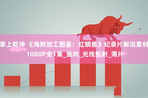 掌上乾坤 《海鲜加工图鉴：红鲷鱼》纪录片解说素材 1080P全1集_鱼肉_光线折射_薄片